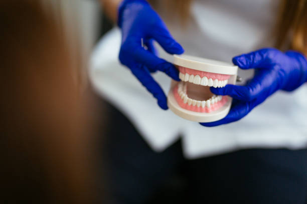 Trusted Edgewood, IN  Holistic Dental Services Experts